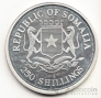 Сомали 250 шиллингов 1998 Кошка Сингапурской породы (серебро, цветная)