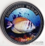 Палау 1 доллар 2009 Вымирающие виды - Тропическая рыбка №2