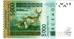   5000  2003  C -  