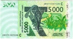   5000  2003  C -  