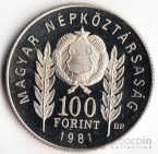 100  1981 1300- 