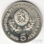  5  1985 23  