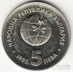  5  1985 -85