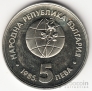  5  1985 -85
