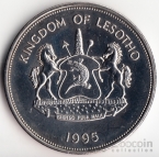  1  1995 50  
