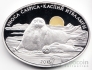  500  2013     -  