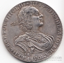 Россия 1 рубль 1724 Копия