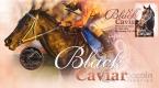  1  2013 Black Caviar