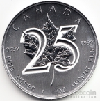  5  2013 25    