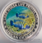  5  2010  - 