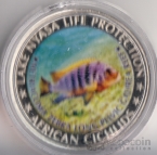 5  2010  - 