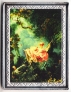   10  2007   10