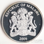  50  2006  
