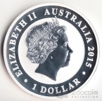  1  2015  - 15  