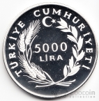 Турция 5000 лир 1984 Олимпийские игры в Атланте