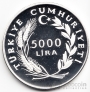Турция 5000 лир 1984 Олимпийские игры в Атланте