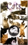   1  2009  -    (, )