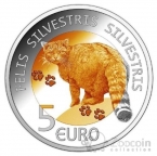  5  2015   ()