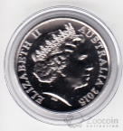  20  2015    - 100  