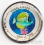    2000  -   3