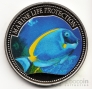  1  2007    - -