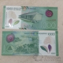  1000  2019
