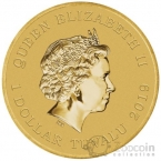  1  2019    (  )