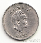  6  1966