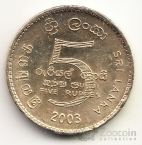- 5  2003  1