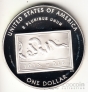  1  2006   1 (Proof)