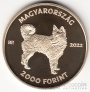  2000  2022    - 