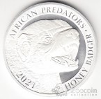  5000  2021   - 