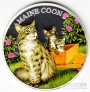 Руанда 500 франков 2011 Кошка - Мейн-кун (цветная)