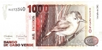 - 1000  2002