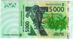  5000  2003  D - 