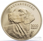  2000  2023    -  
