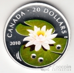  20  2010  - 