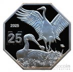   25  2025 