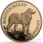  3000  2025    - 