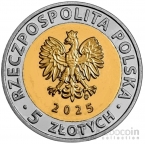 ������ 5 ������ 2025 ������ �����