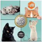 ������� 5 ���� 2025 ������� �������� - ����� (�������)