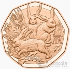 ������� 5 ���� 2026 ���� ������ ������ (����)