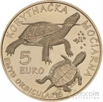 �������� 5 ���� 2026 �������� ��������