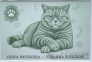 Россия сувенирная банкнота 1000 котей 2026 (буклет)