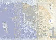 Новинки: 10.11.2019