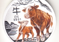 Новинки: 24.02.2021