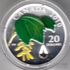 Канада 20 долларов 2010 Флора - Кленовый лист и хрустальная капля дождя