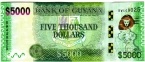 Гайана 5000 долларов 2011-2022